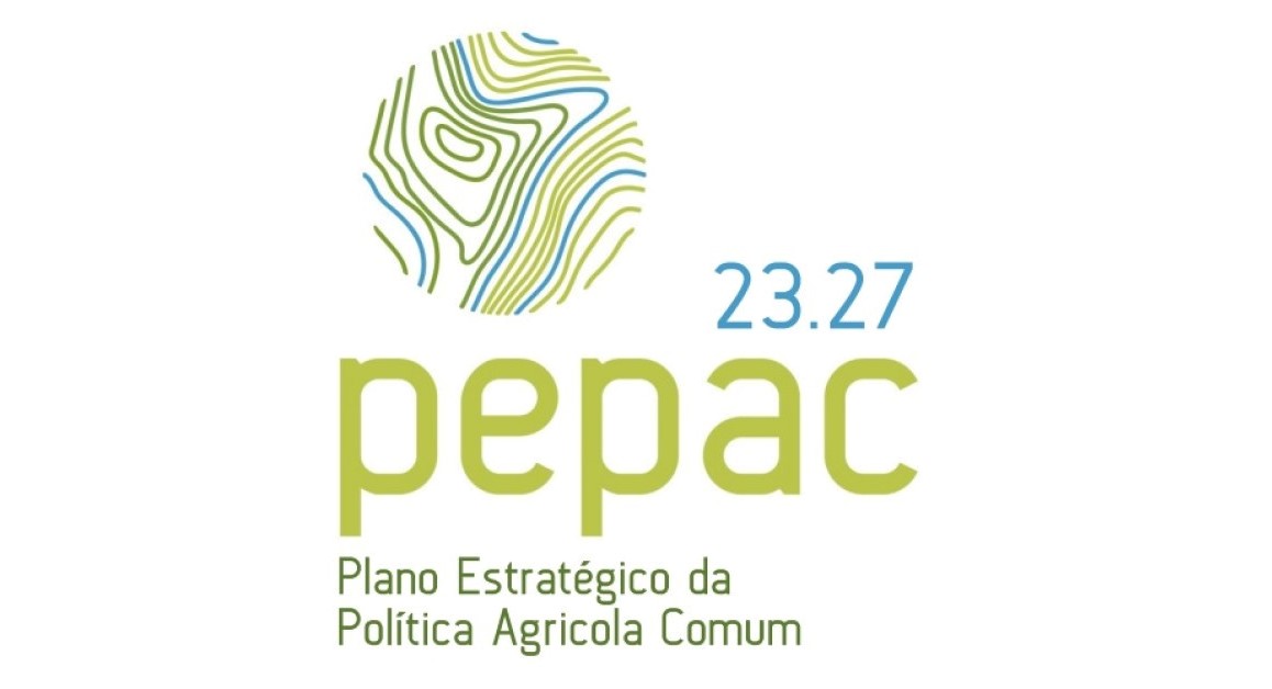 Newsletter n.º 78 - Foto 5 Newsletter n.º 78 - Foto 5